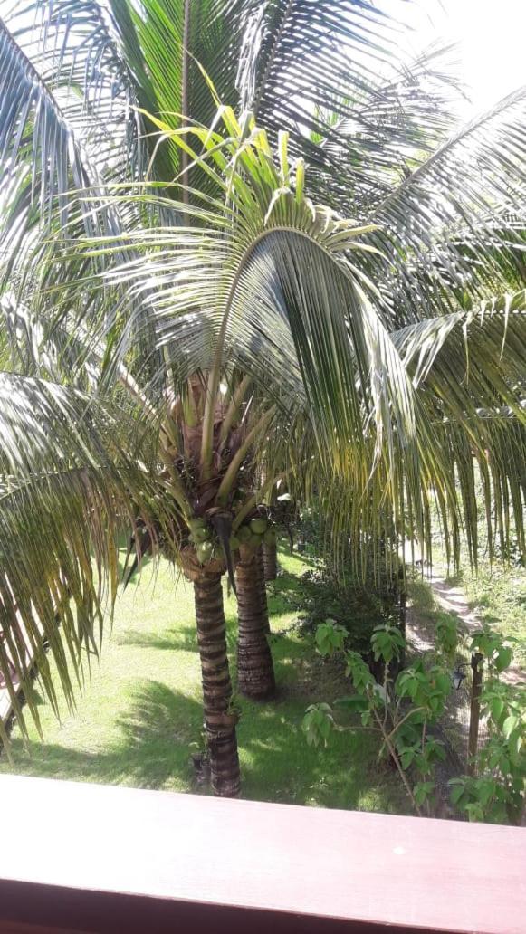 Pousada Do Dorinho Ilhabela Bagian luar foto